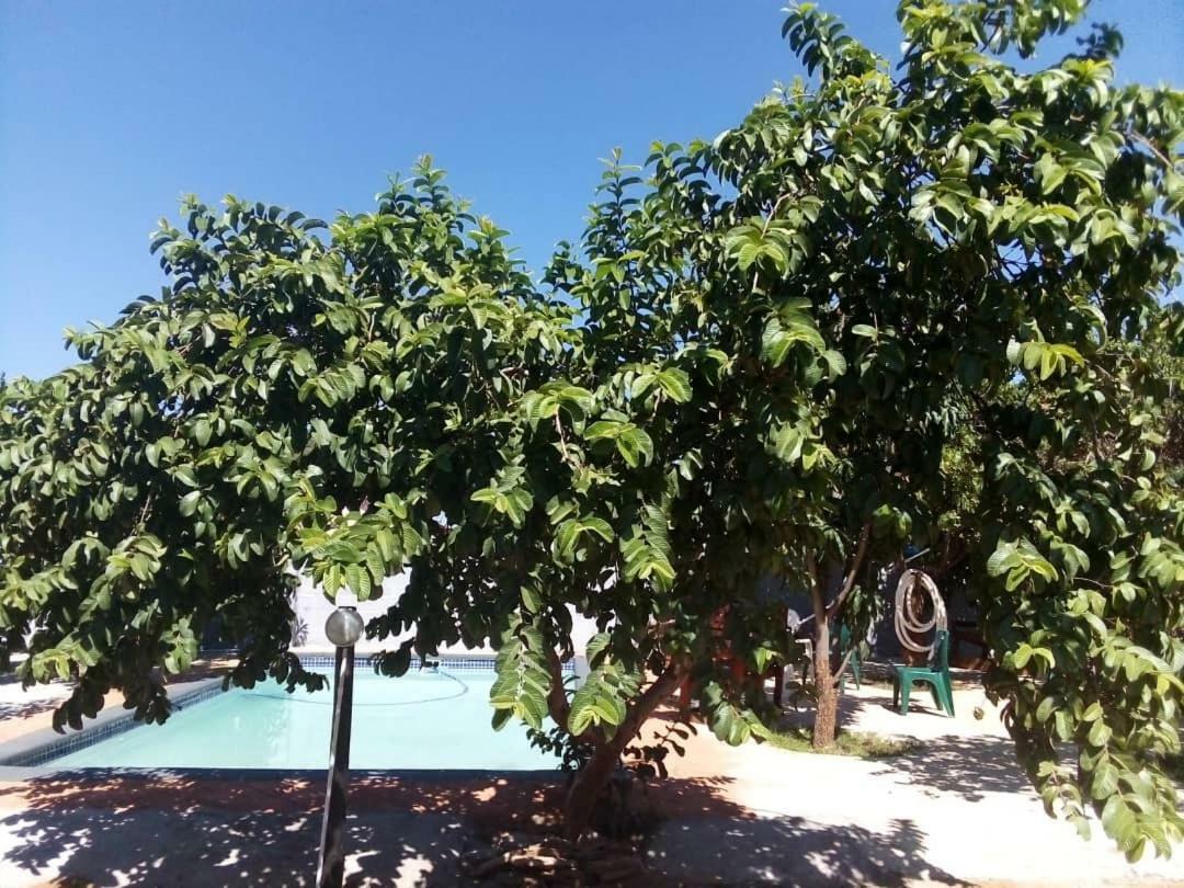 Belle Vue Bed & Breakfast Palapye Exterior foto